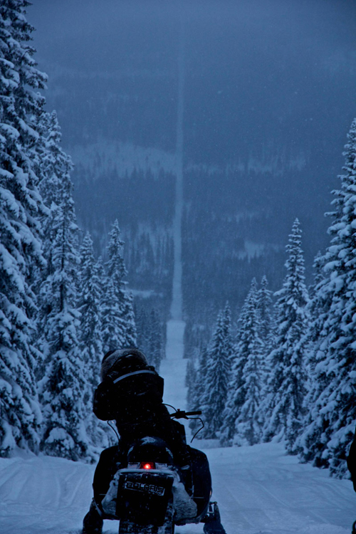Trượt tuyết tại biên giới Na Uy - Thụy Điển - hình nền máy tình đẹp